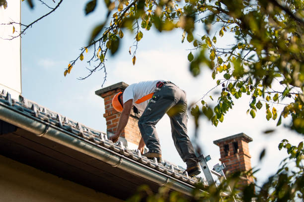 Best Roof Leak Repair  in Seacliff, CA